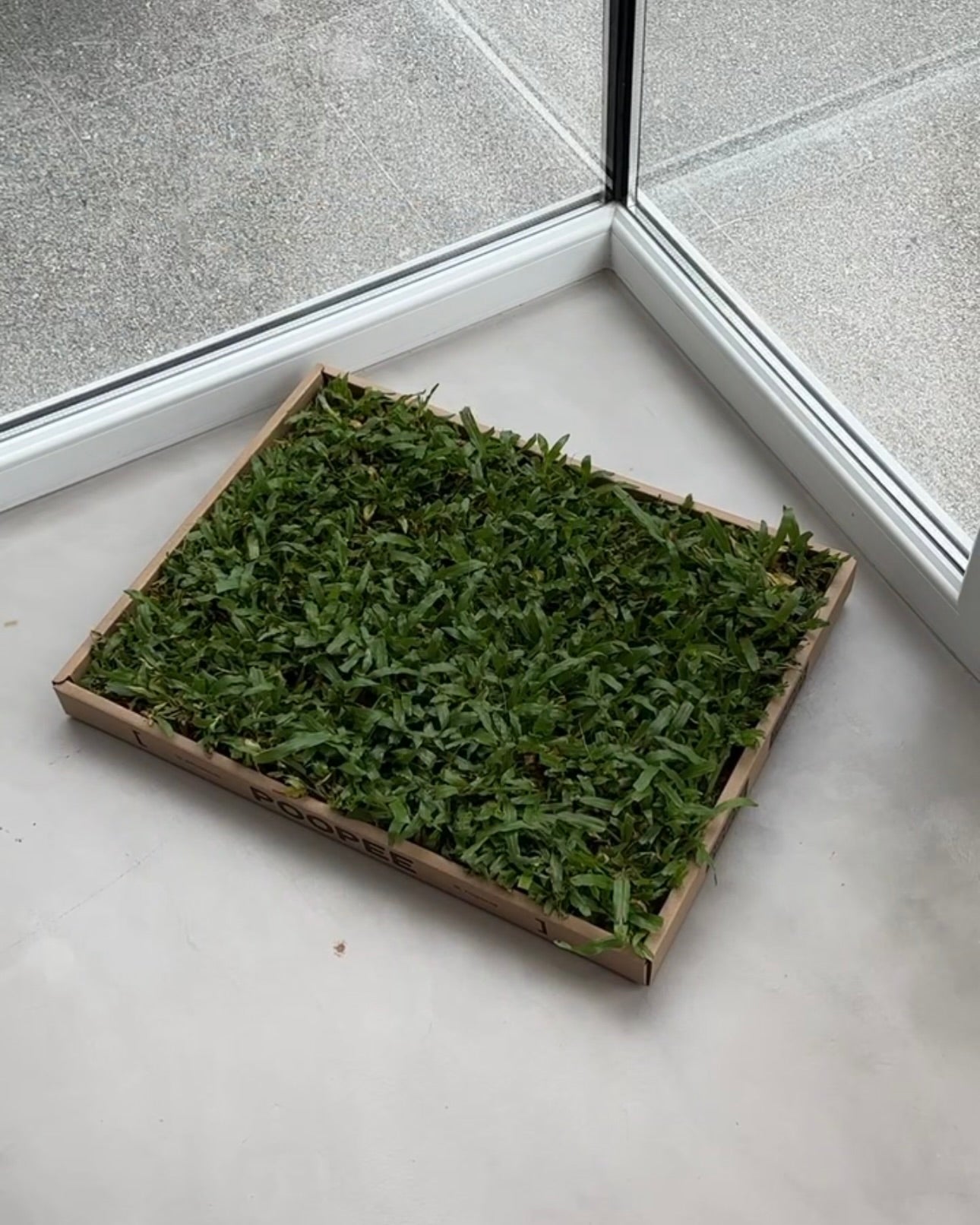 Eco-turf