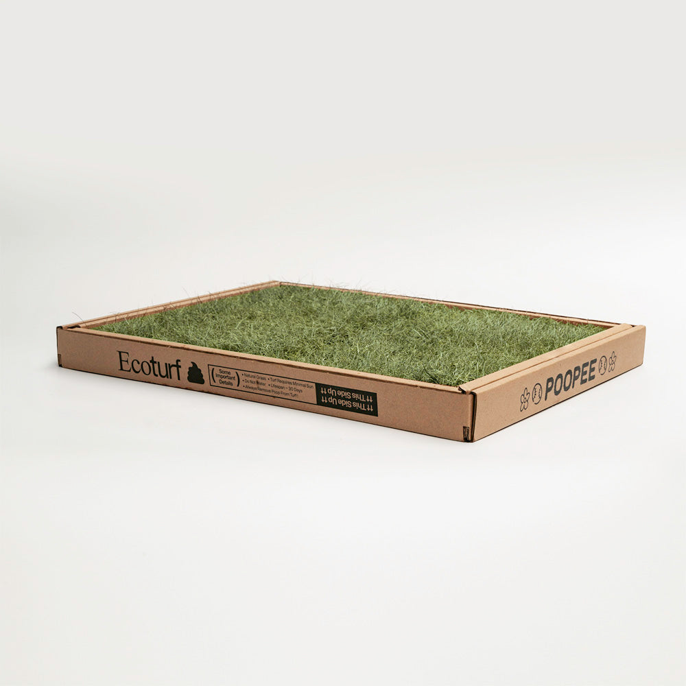 Eco-turf