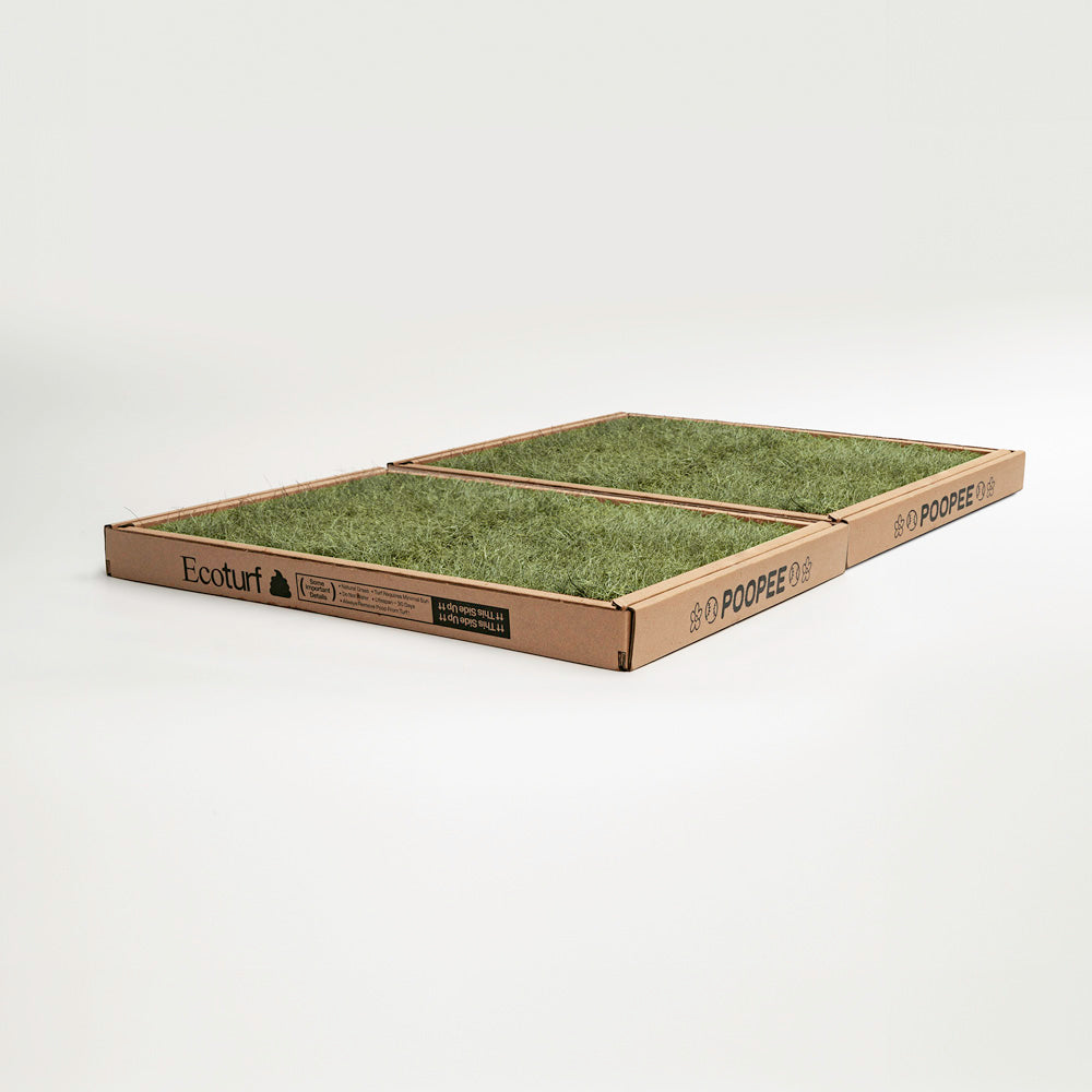 Eco-turf